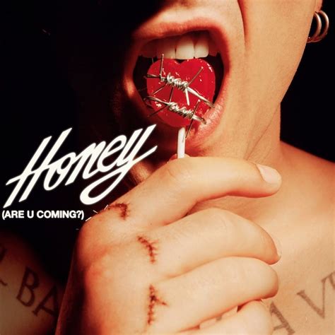 honey n honey significato.